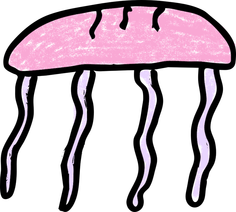 Jellyfish